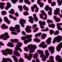 animal print