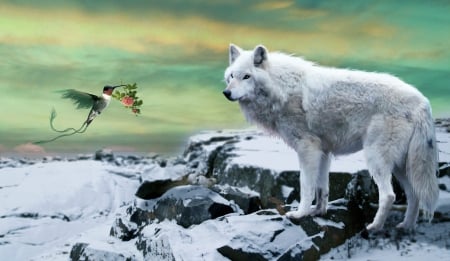 At Spring will never end - white, stone, hummingbird, wolf