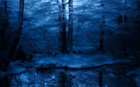 Winter Woodland - forest, winter, water, wood, blue, dusk, reflection, river, nature, snow, cold