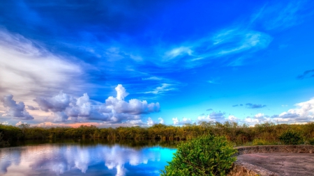 lovely sky reflected in a pond - sky, street, pond, reflection, clouds, brushes, shore