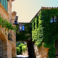 ivy covered houses in catalonia spain