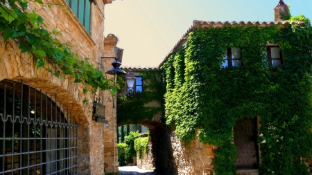 ivy covered houses in catalonia spain - houses, ivy, windows, bridge