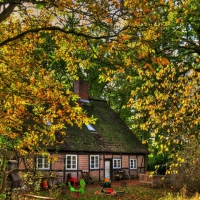 backyard of a house in germany in autumn