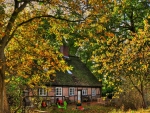 backyard of a house in germany in autumn