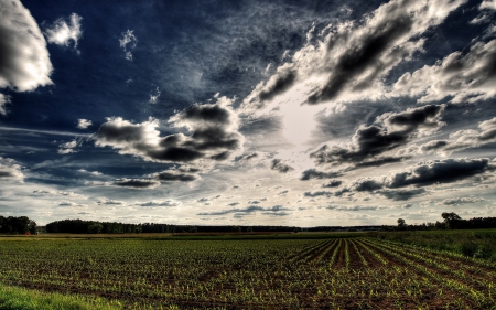 ~Spring Clouds~ - sky, clouds, light, fields, nature