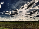 ~Spring Clouds~