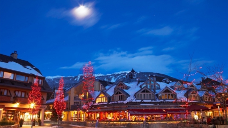 moon over a town at christmas - moon, trees, town, restaurants, night, lights