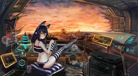 Sky Hub - cute, nice, neko, sexy, sunset, girl