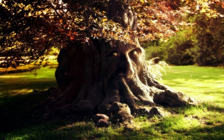 tree man - cg, abstract, fantasy, nature, man, tree