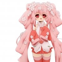 Sakura Miku