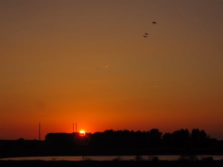 Suns@t - birds, beautiful, sunsets, sunset, nature, view, red, sun, sky