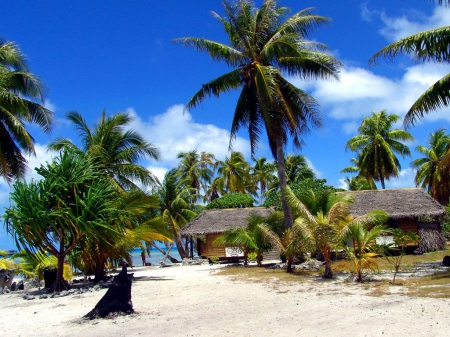 Cayman Islands Beach - white, palms, cabins, sea, sand