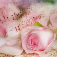 â™¥ music for pink rose â™¥