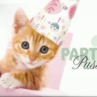 Party kitten