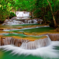 Forest cascades