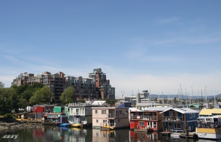 Victoria vacation - sky, houses, trees, blue, photography, green