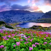 Mirrored mountain lake