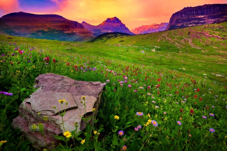 Meadow of wildflowers - pretty, amazing, landscape, grass, meadow, mountain, flowers, fresh, peak, cliffs, lvoely, field, nice, sky, clouds, greenery, stone, carpet, beautiful, rock, freshness, wildflowers, colorful, nature