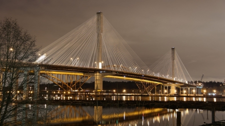 port mann bridge over the fraser river in british columbia - cables, modern, river, bridge, lights