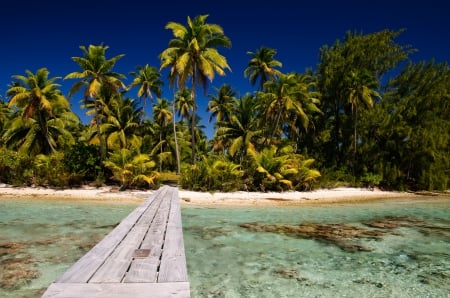 Fakarava Island - Tuamotu Atoll French Polynesia - palm, french, beach, perfect, islands, ocean, atoll, dream, exotic, paradise, tropical, south, polynesia, fakarava, tuamotu, blue, sand, lagoon, pacific, island, trees, sea