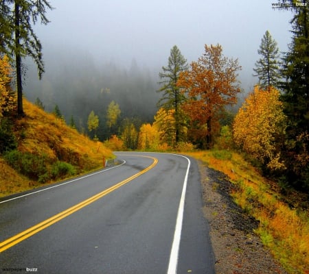 Autumn Ride - trees, yellow, road, colors, forest, orange, mountain, nature, autumn, ride