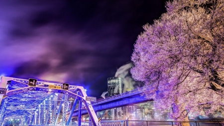 purple lit langevin bridge in calgary hdr - purple, train birdge, light, night, city, tree, hdr, bridge