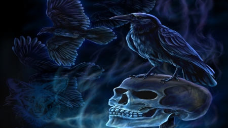 BLUE RAVEN - skull, wallpaper, raven, blue