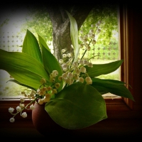 lily of the valley on a window sill