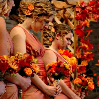 AUTUMN PRINCESSES