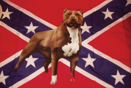 rebel dog - south, rebelious, dog, rebel