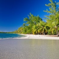 Fakarava Island - Tuamotu atoll islands - french polynesia - white sand beach and palm trees