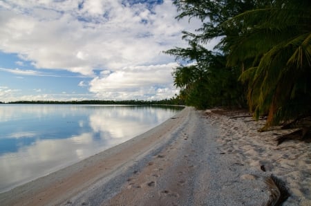 Fakarava Beach - Tuamotu group - french polynesia - calm, lagoon, blue, Tuamotu, beach, evening, island, sand, group, twilight, atoll, exotic, paradise, trees, beautiful, set, sea, ocean, palm, islands, seun, white, sunset, tropical, fakarava, dusk