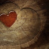 Sap Heart Over Wooden Heart