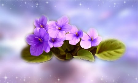 Purple Flowers - purple, flowers, pretty, beautiful