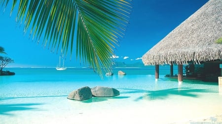 Tahitian Beach - water, summer, bungalow, boat, island, sea, palm