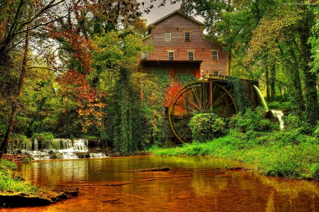 Old forest mill - calm, quiet, stream, forest, reflection, old, water mill, nice, trees, water, beautiful, mill, lovely, river, nature, serenity, peaceful