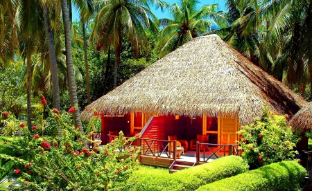 Tropical rest - nice, hut, palm trees, tropics, palms, summer, tropical, lovely, exotic, vacation, nature, forest, beautiful, island, rest, relax