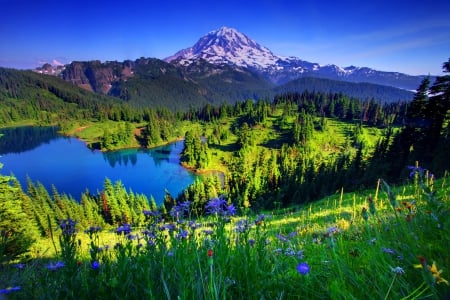 Lake view - calm, quiet, hills, sunny, summer, blue, landscape, tranquil, crystal, mountain, calmness, flowers, shore, view, cliffs, lake, nice, sky, beautiful, lovely, peaks, nature, green, clear, serenity, rocks