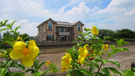 Rural house - blue sky, house, rural, flower