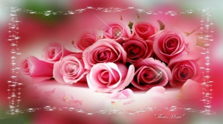 Romantics Roses - roses, pretty, romantic, pink, beautiful