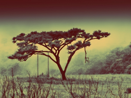 Forgotten Place - nature, fields, tree, grass