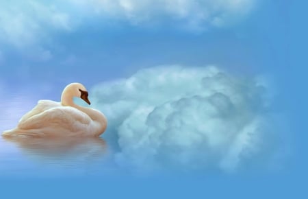 Swan in the clouds - white, swan, fantasy, clouds, blue