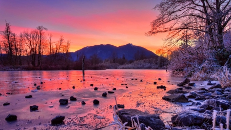 frozen river in crimson - crimson, river, trees, frozen, sunset, rocks