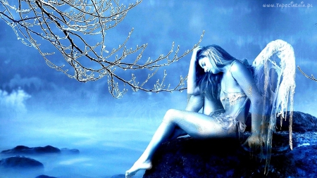 Winter Blues - ice, girl, cold, angel, blue, wings, fantasy