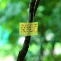 great lines.....