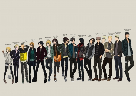 The Height - female, hot, anime girl, shingeki no kyojin, eren, cool, anime, team, cute, handsome, male, sexy, girl, warrior, mikasa, attack on titan, boy, group, guy, friend