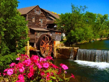 Water mill - calm, quiet, cascades, summer, creek, grass, flowers, shore, view, water mill, nice, sky, trees, water, beautiful, mill, lovely, river, nature, serenity