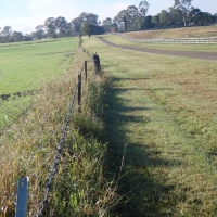 Country road