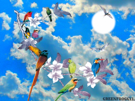 BIRDS ON A BRANCH