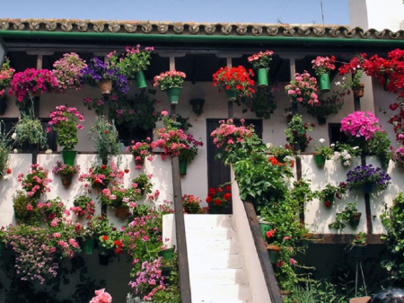 Cordoba*s secret Gardens - nature, garden, festival, secret